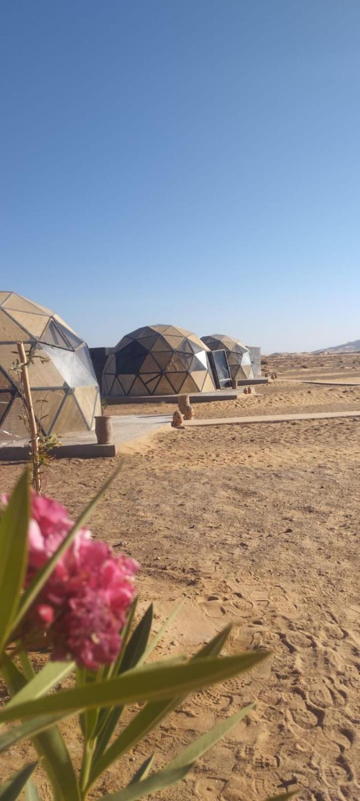 מלון מרזאוגה Tatooine Stars Camp מראה חיצוני תמונה
